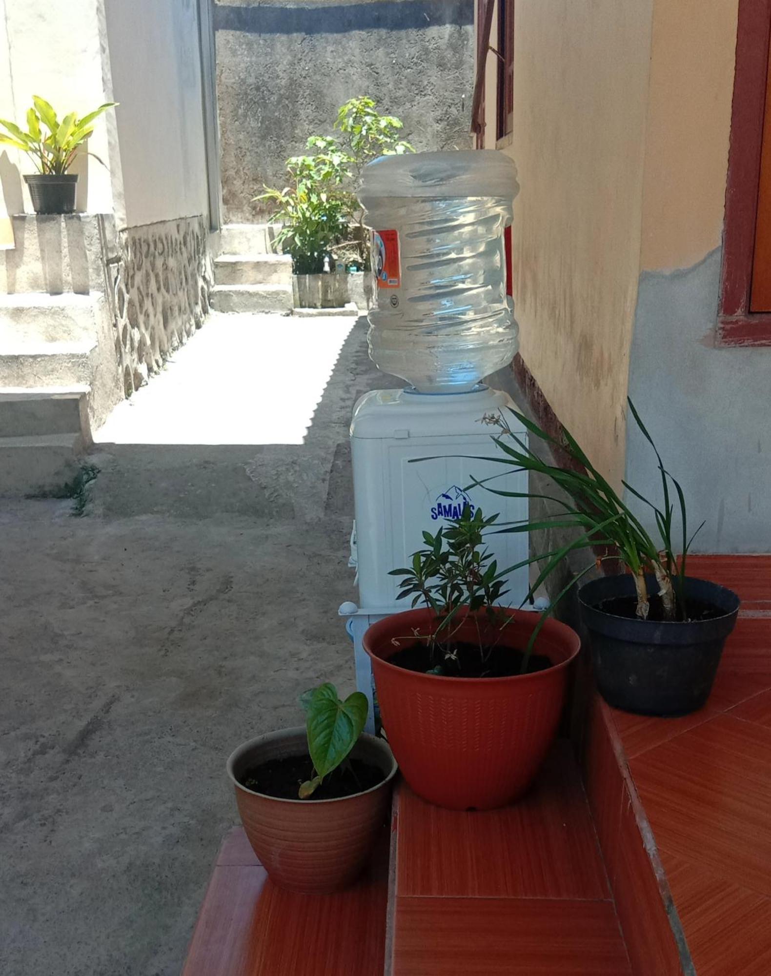 Radiya Guesthouse Sembalunlawang Exteriör bild