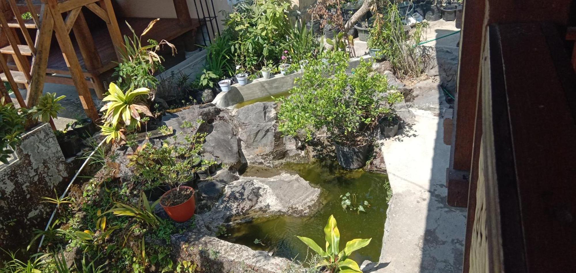 Radiya Guesthouse Sembalunlawang Exteriör bild