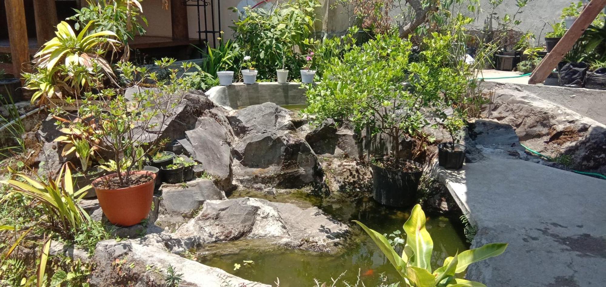 Radiya Guesthouse Sembalunlawang Rum bild